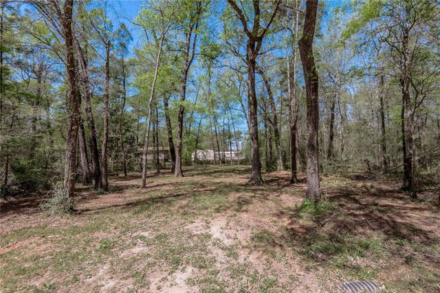 TBD Meridian, Livingston, TX 77351