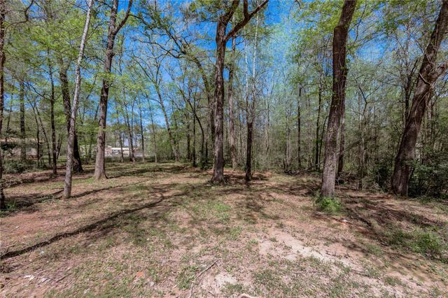 TBD Meridian, Livingston, TX 77351