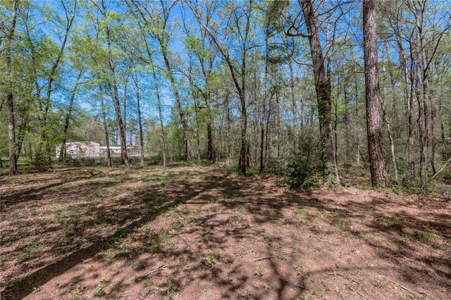 TBD Meridian, Livingston, TX 77351