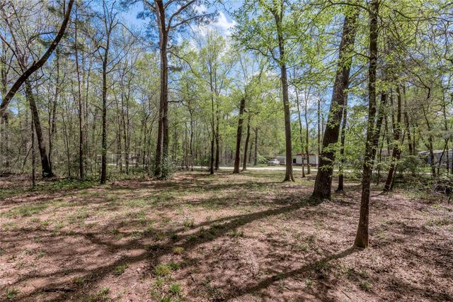 TBD Meridian, Livingston, TX 77351