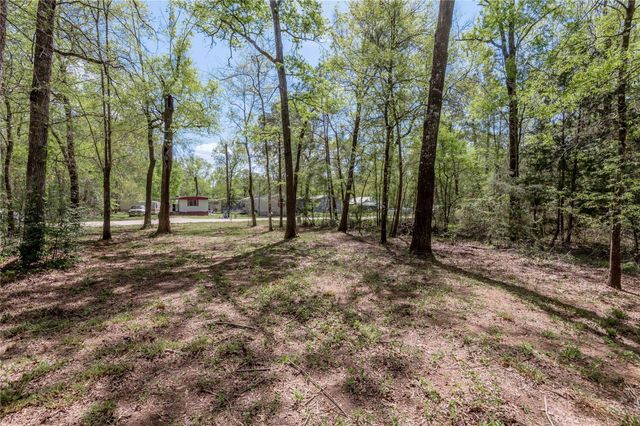 TBD Meridian, Livingston, TX 77351