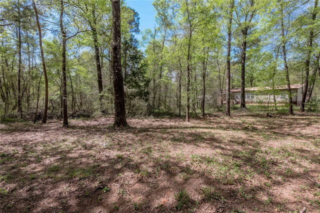 TBD Meridian, Livingston, TX 77351