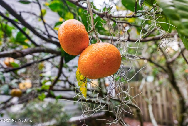 1479 SCARLETT Way, Fleming Island, FL 32003