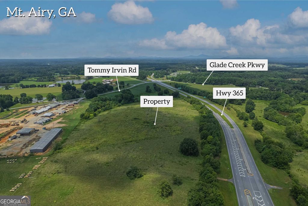 20 ACRES Sthighway 365, Mount Airy, GA 30563 — photo 5