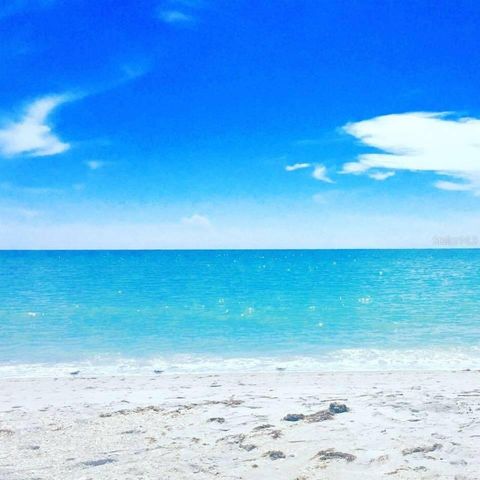 1627 DEL MONTE COURT, Venice, FL 34293