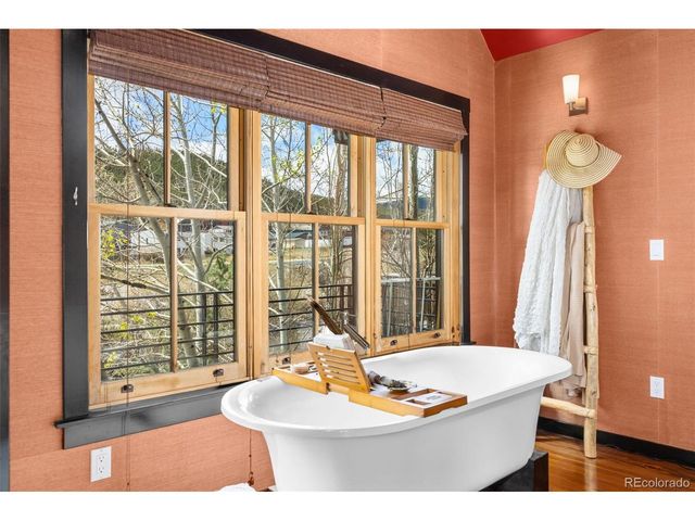 154 E 1st St, Nederland, CO 80466