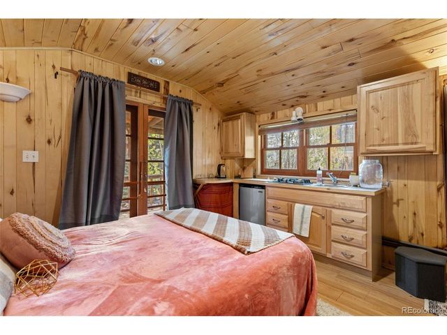 154 E 1st St, Nederland, CO 80466