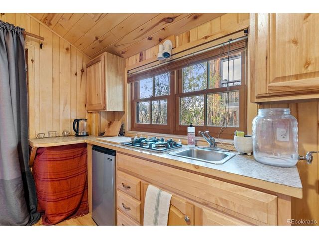 154 E 1st St, Nederland, CO 80466