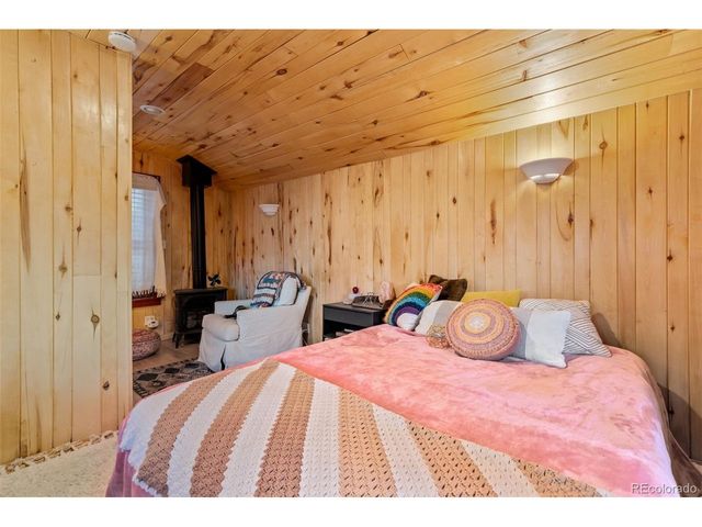 154 E 1st St, Nederland, CO 80466