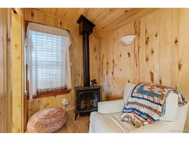 154 E 1st St, Nederland, CO 80466