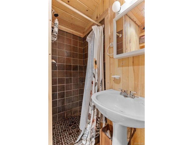 154 E 1st St, Nederland, CO 80466