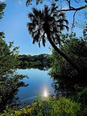 18905 ARIPEKA ROAD, Hudson, FL 34667