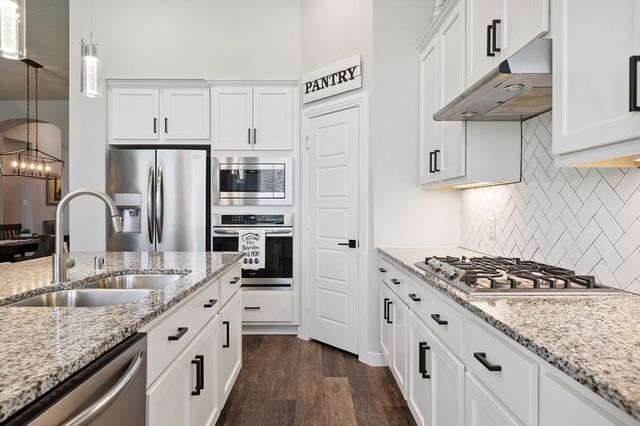 3121 Pioneer Path, Little Elm, TX 75068