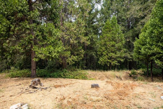 4363 Glory Hole Dr, Camino, CA 95709