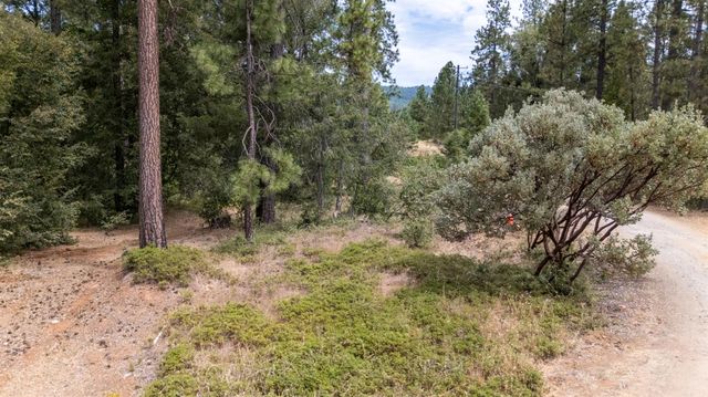 4363 Glory Hole Dr, Camino, CA 95709