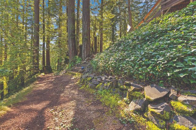 9085 Middle Ter, Monte Rio, CA 95462