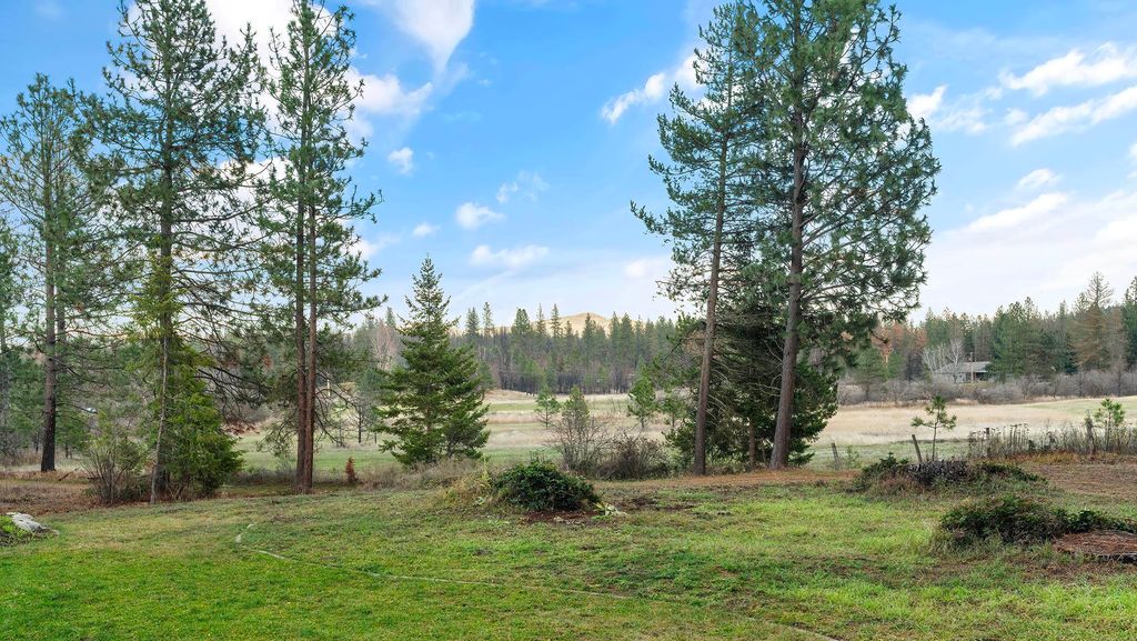 12621 E Blanchard Rd, Elk, WA 99009 photo 40
