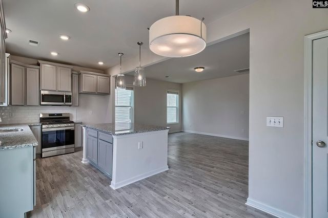 20 Healy Way, Blythewood, SC 29016