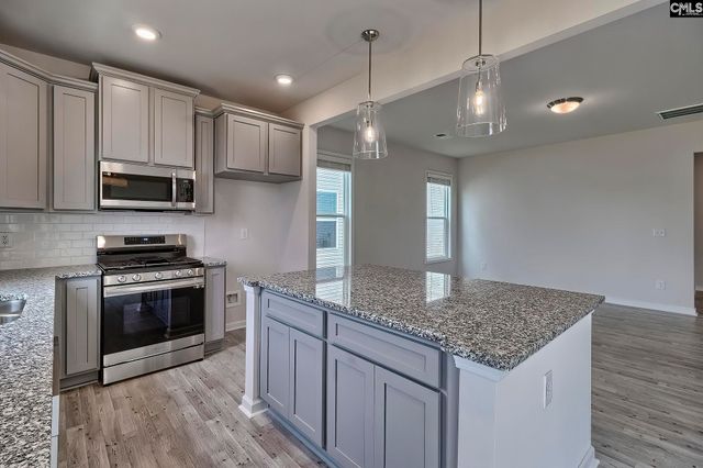 20 Healy Way, Blythewood, SC 29016