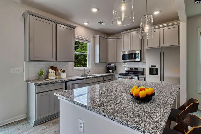 20 Healy Way, Blythewood, SC 29016