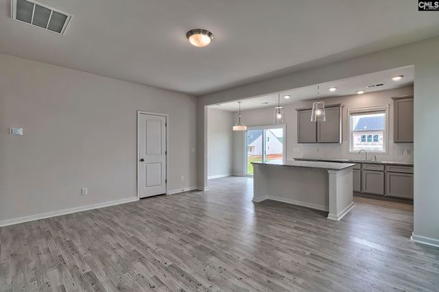 20 Healy Way, Blythewood, SC 29016