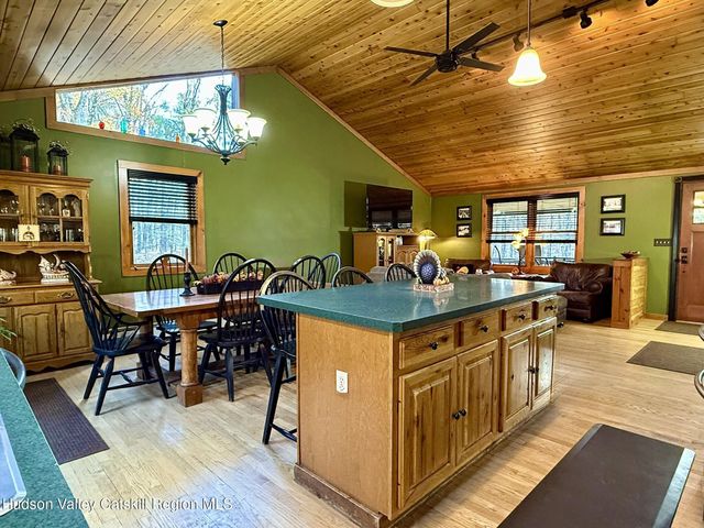 485 Potic Mountain Road, Catskill, NY 12414