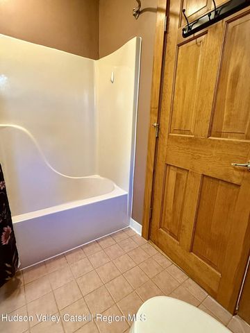 485 Potic Mountain Road, Catskill, NY 12414