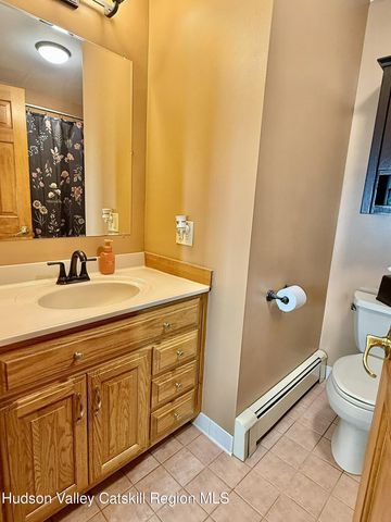 485 Potic Mountain Road, Catskill, NY 12414