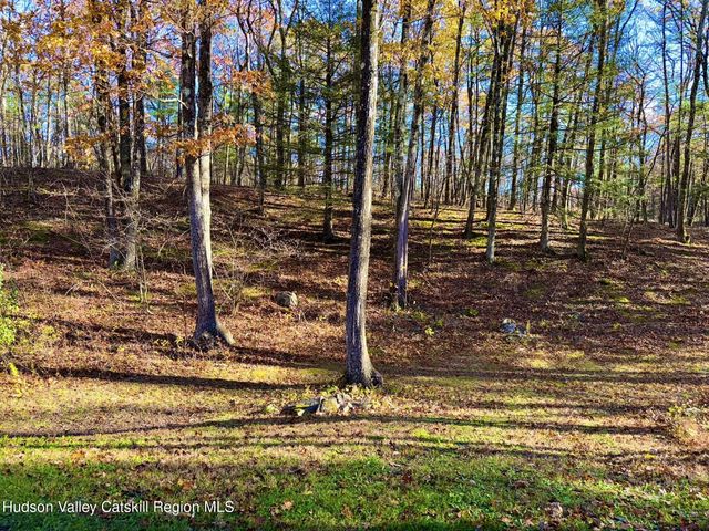 485 Potic Mountain Road, Catskill, NY 12414