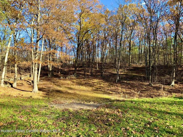 485 Potic Mountain Road, Catskill, NY 12414