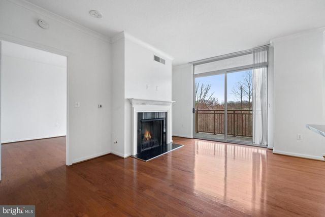 4480 MARKET COMMONS DR #505, Fairfax, VA 22033
