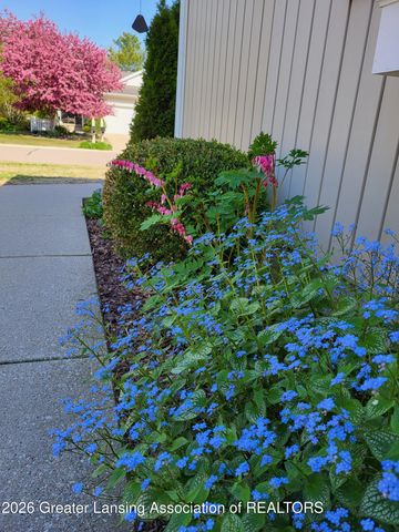 15060 Classic Drive, Bath, MI 48808