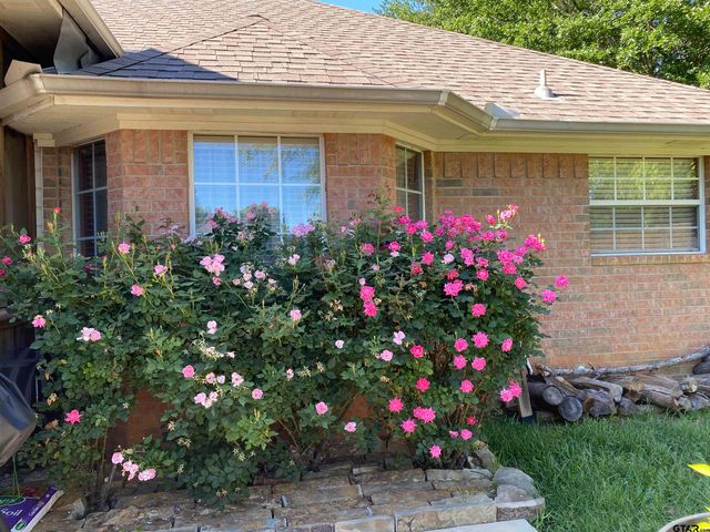 11853 CR 167, Tyler, TX 75703