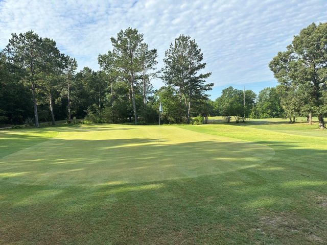 11598 Sebastians Run, Montgomery, TX 77316