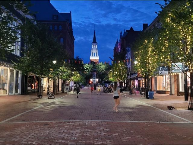 37 S Williams St Apt 313, Burlington, VT 05401