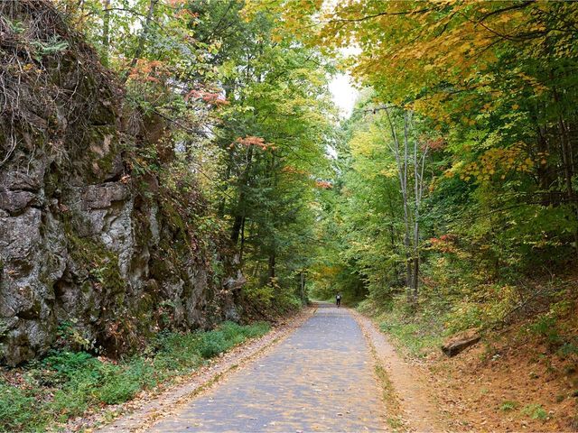 37 S Williams St Apt 313, Burlington, VT 05401