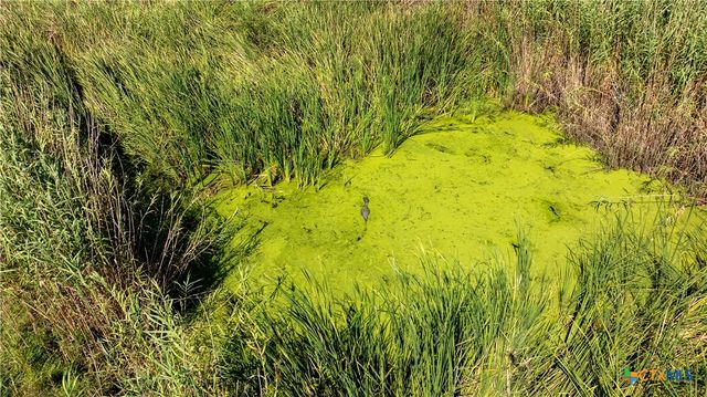 000 SH 316 105.0 Acres, Port Lavaca, TX 77979