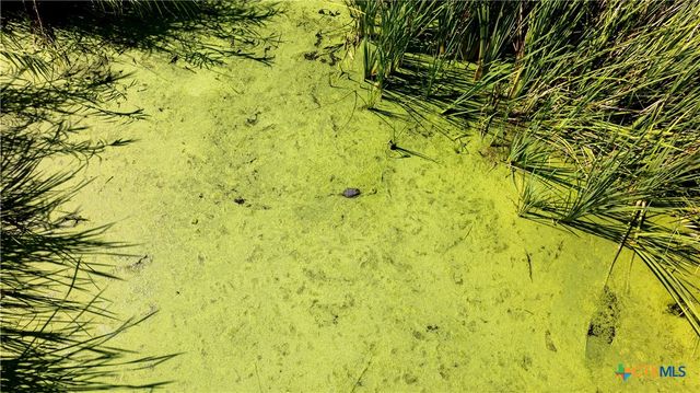 000 SH 316 105.0 Acres, Port Lavaca, TX 77979