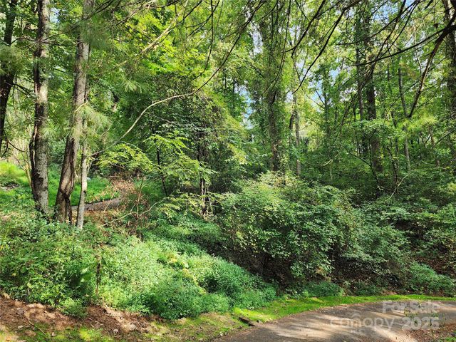 9999 Azalea Court 3,4,6, Arden, NC 28704