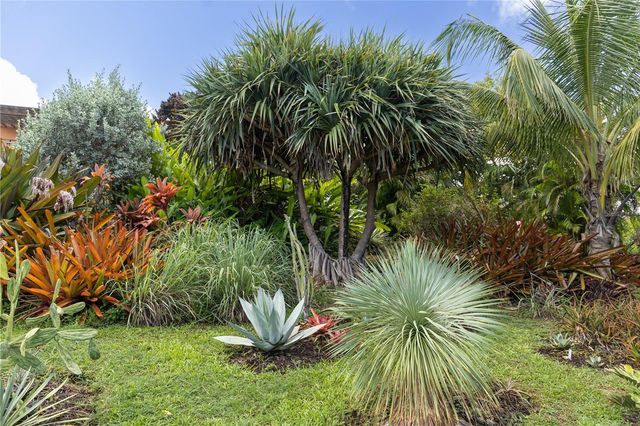 56 VILLA BORINQUEN, Vieques, PR 00765