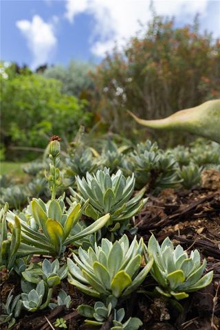 56 VILLA BORINQUEN, Vieques, PR 00765