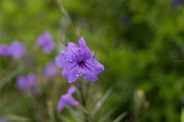56 VILLA BORINQUEN, Vieques, PR 00765