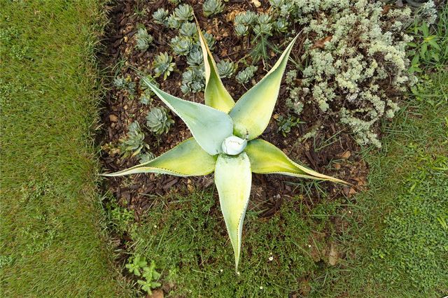 56 VILLA BORINQUEN, Vieques, PR 00765