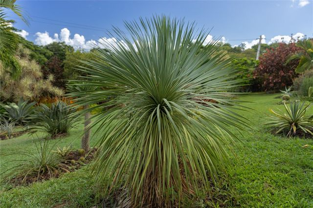 56 VILLA BORINQUEN, Vieques, PR 00765