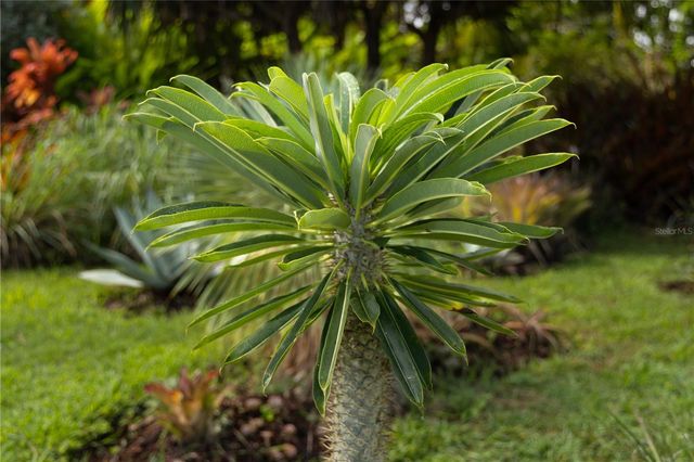 56 VILLA BORINQUEN, Vieques, PR 00765