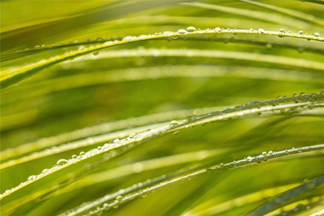 56 VILLA BORINQUEN, Vieques, PR 00765