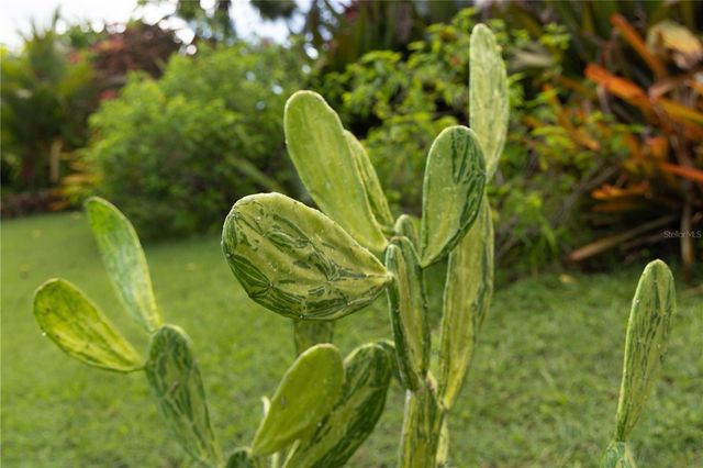 56 VILLA BORINQUEN, Vieques, PR 00765