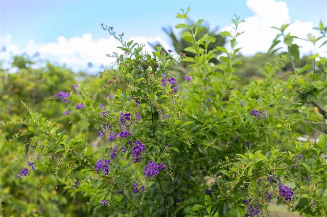 56 VILLA BORINQUEN, Vieques, PR 00765