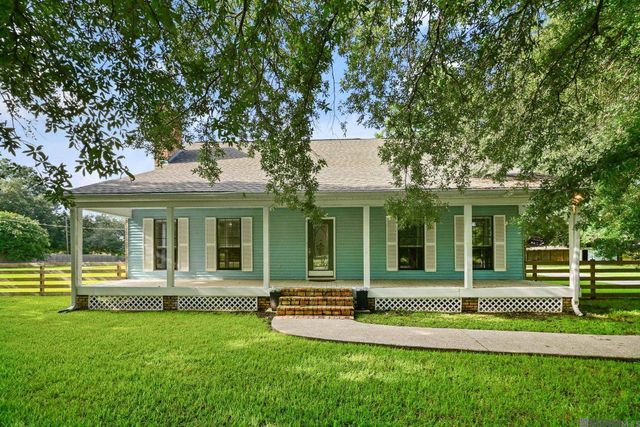 43029 Norman Dyer Ln, Gonzales, LA 70737