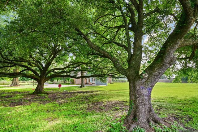 43029 Norman Dyer Ln, Gonzales, LA 70737